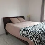 Chambre Oasis